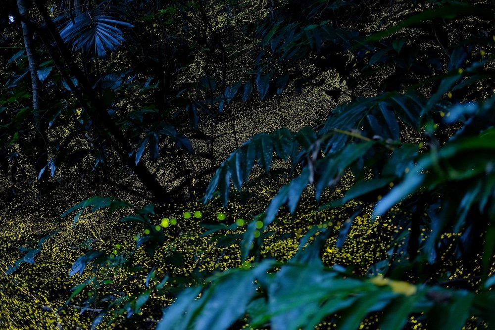 🏞️ 빗추 가나치아나 동굴(빗추카나치아나) 이미지 8